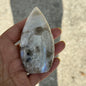 Rainbow Moonstone Free Form