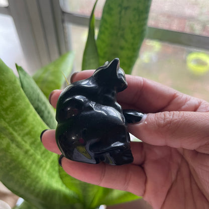 Onyx Skull Kitty