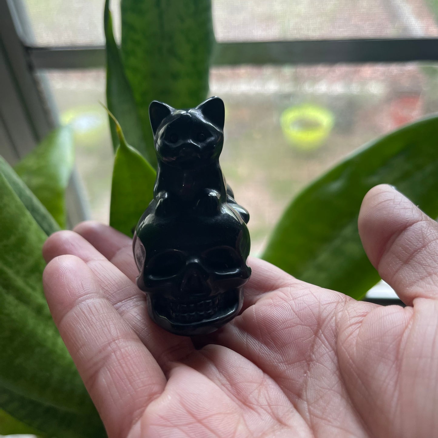 Onyx Skull Kitty